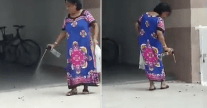 A description of the image