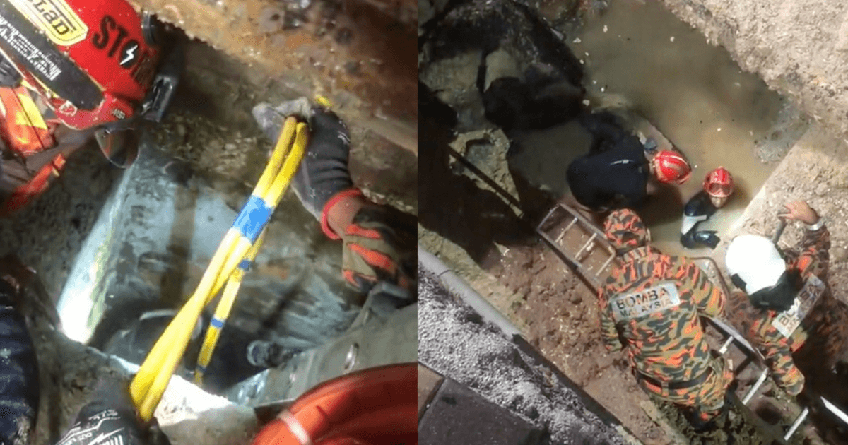 A description of the image