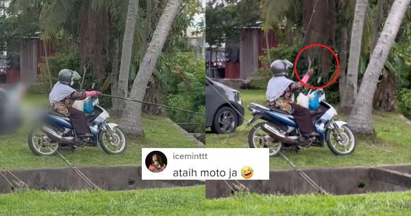 A description of the image