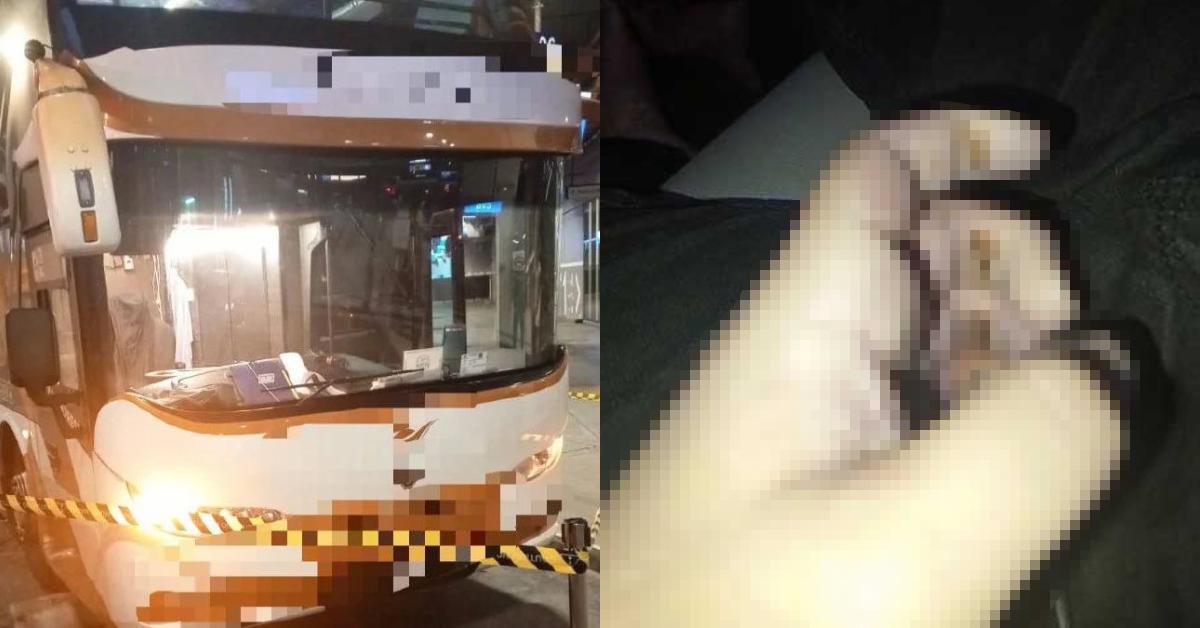 A description of the image