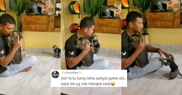 A description of the image