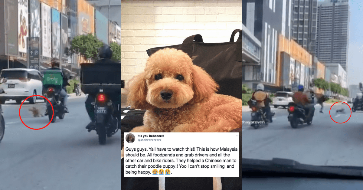 A description of the image