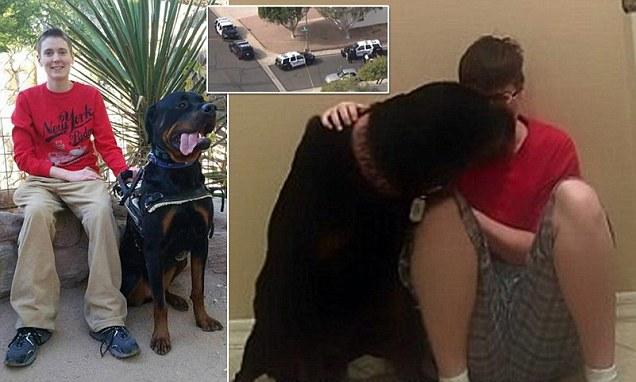 A description of the image