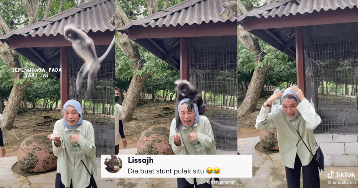 A description of the image