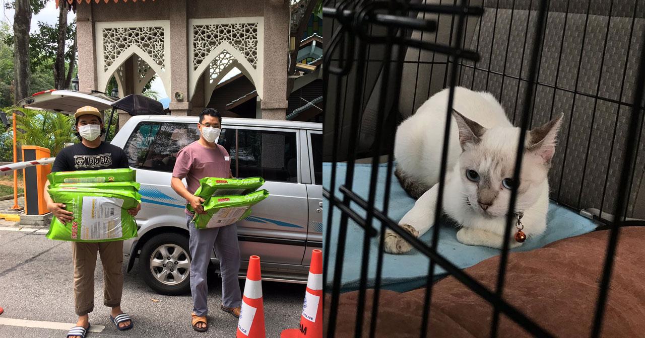 A description of the image