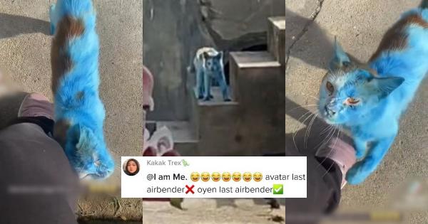 A description of the image