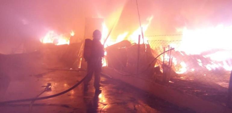 A description of the image