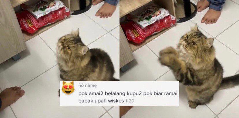 A description of the image