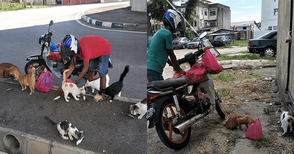 A description of the image