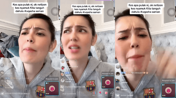 A description of the image