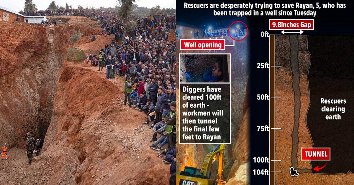 A description of the image