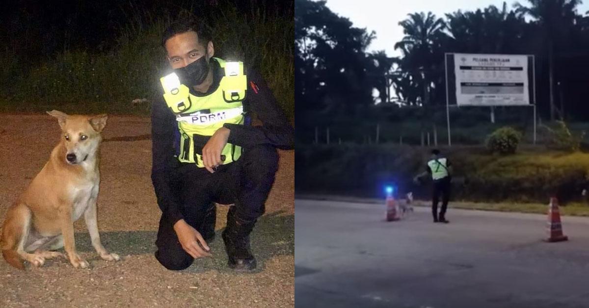 A description of the image