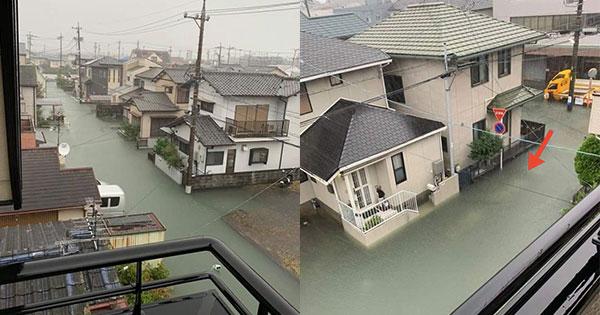 A description of the image