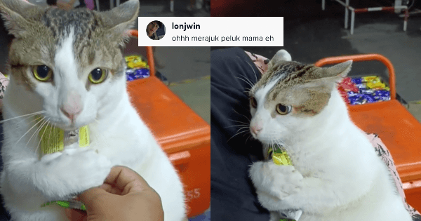 A description of the image