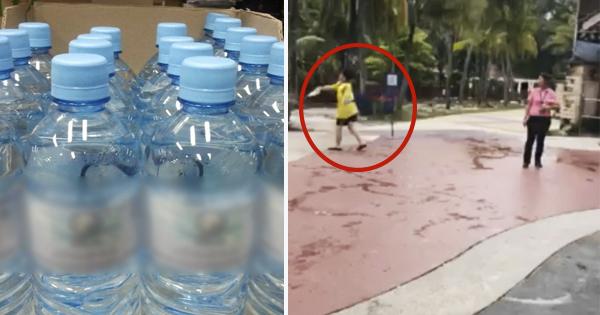 A description of the image