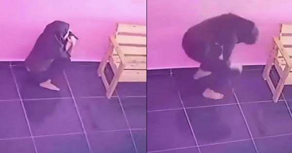 A description of the image