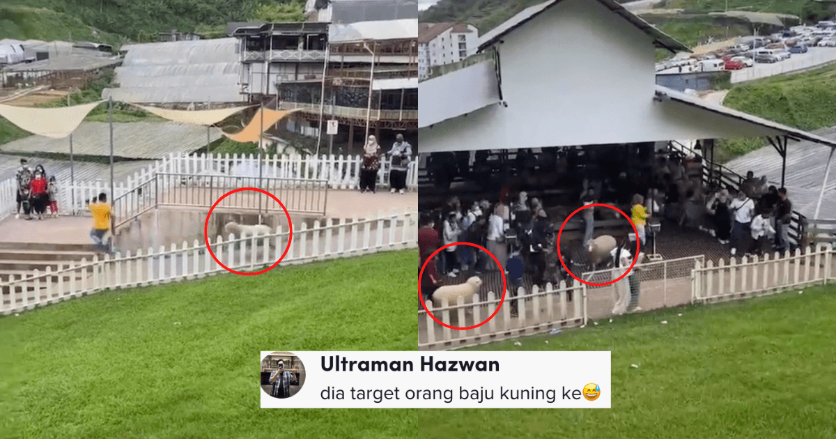 A description of the image