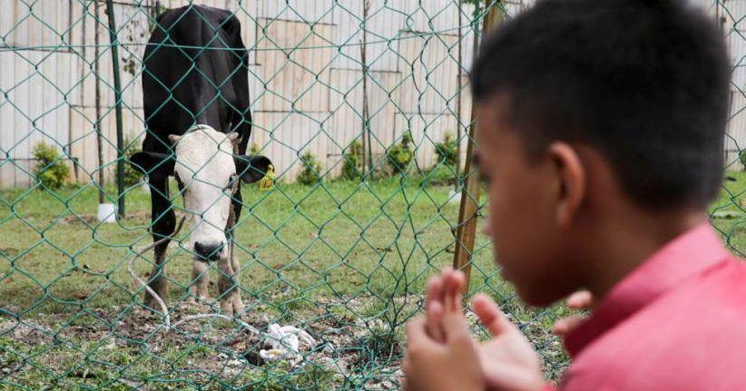 A description of the image