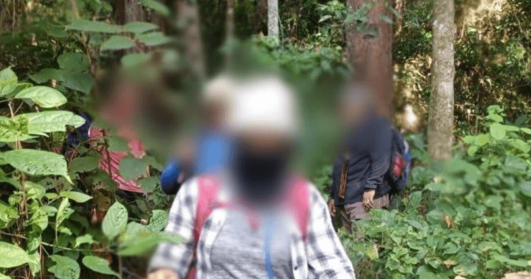 A description of the image