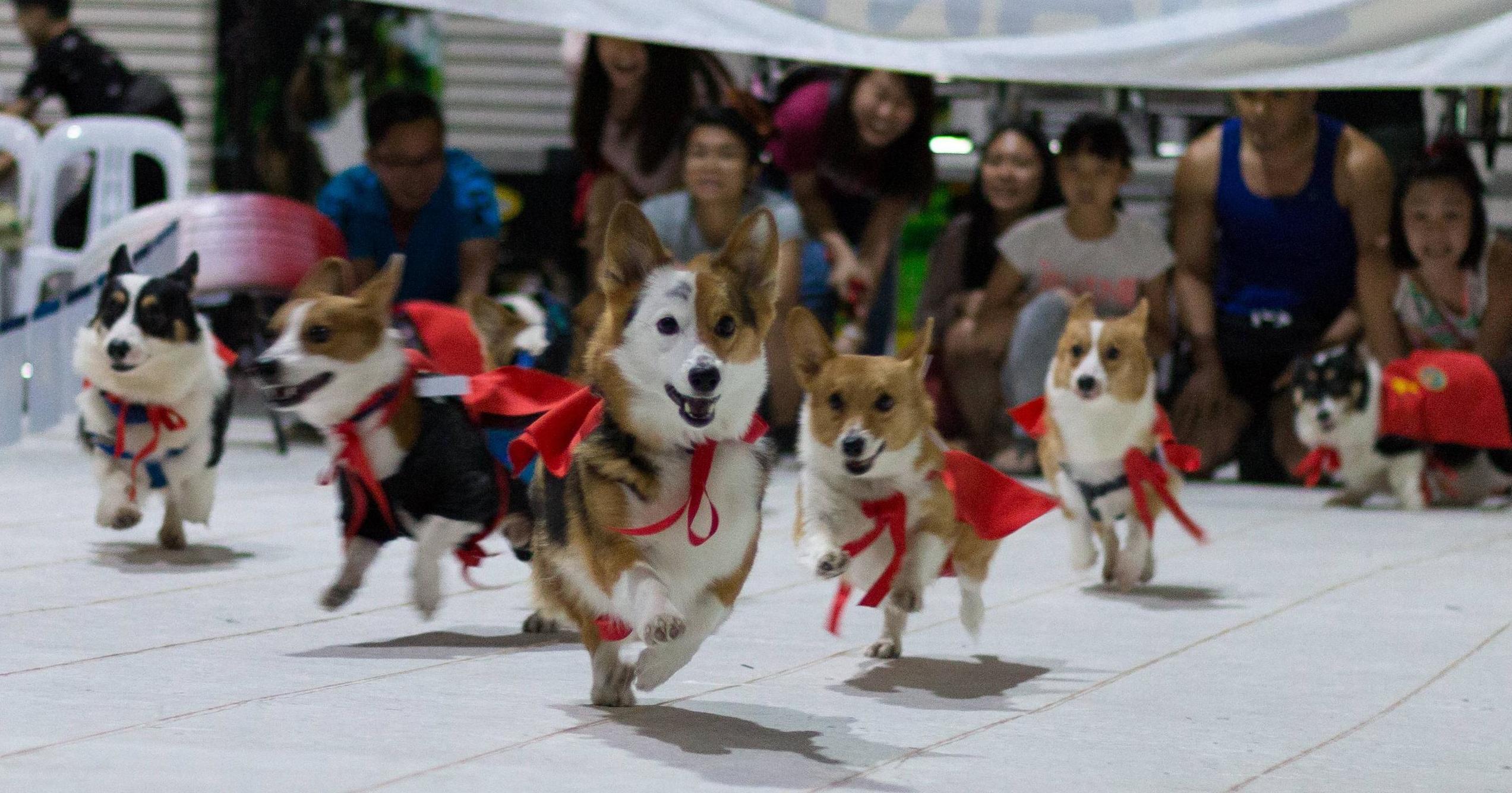 A description of the image