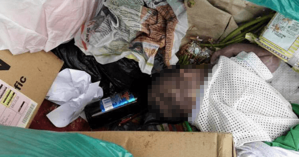 A description of the image