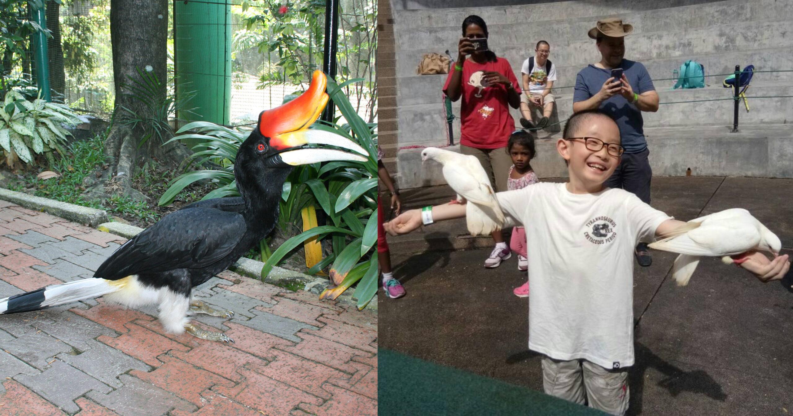 A description of the image