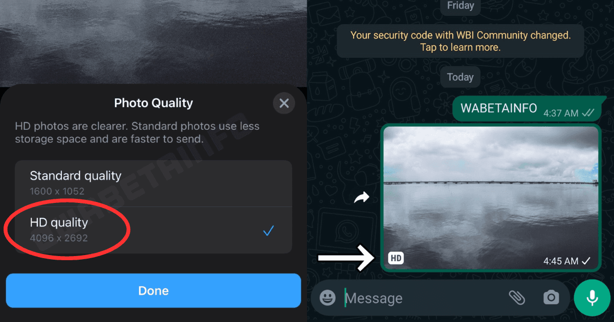 A description of the image