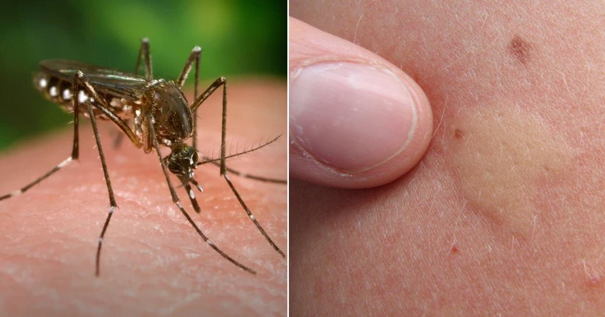 A description of the image