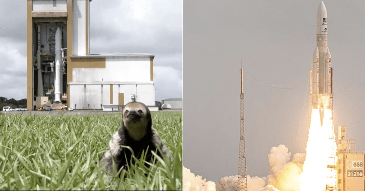 A description of the image