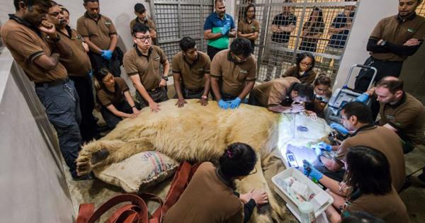 A description of the image