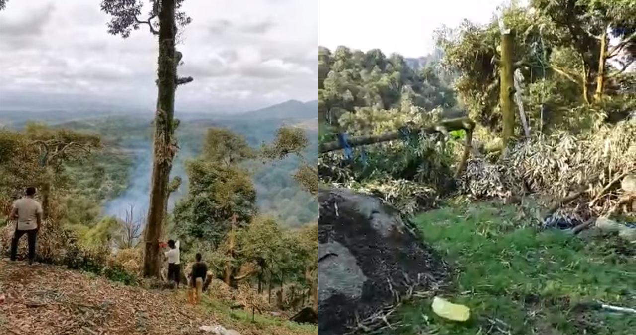 A description of the image