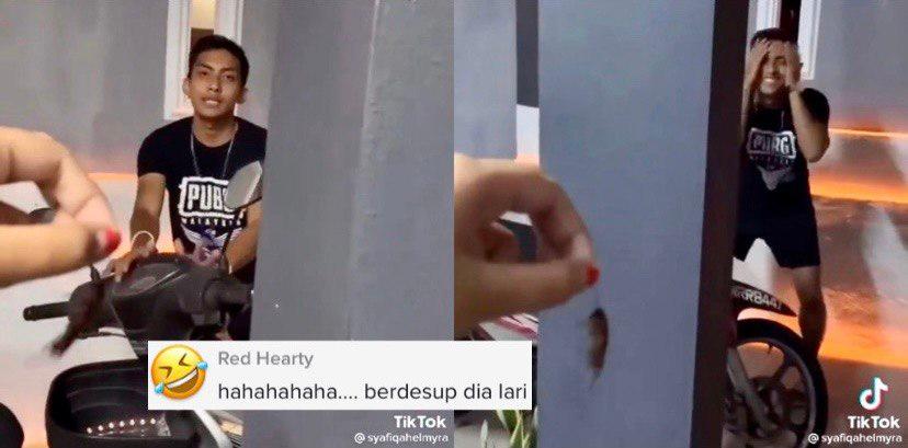 A description of the image