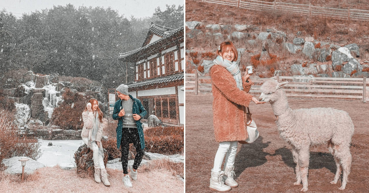 A description of the image