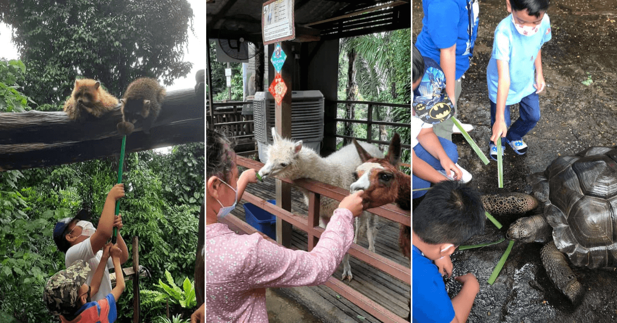 A description of the image