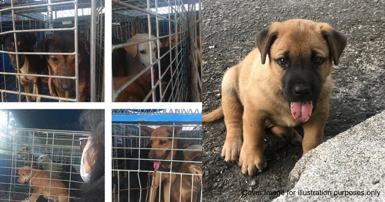 A description of the image