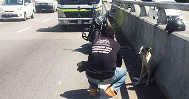 A description of the image