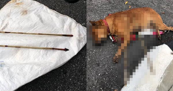 A description of the image