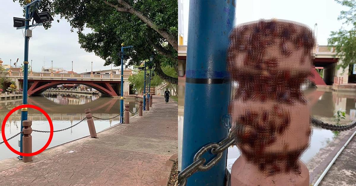 A description of the image