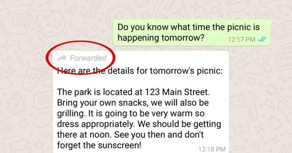 A description of the image