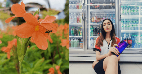 A description of the image