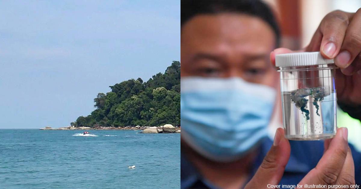 A description of the image