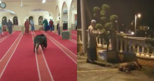 A description of the image