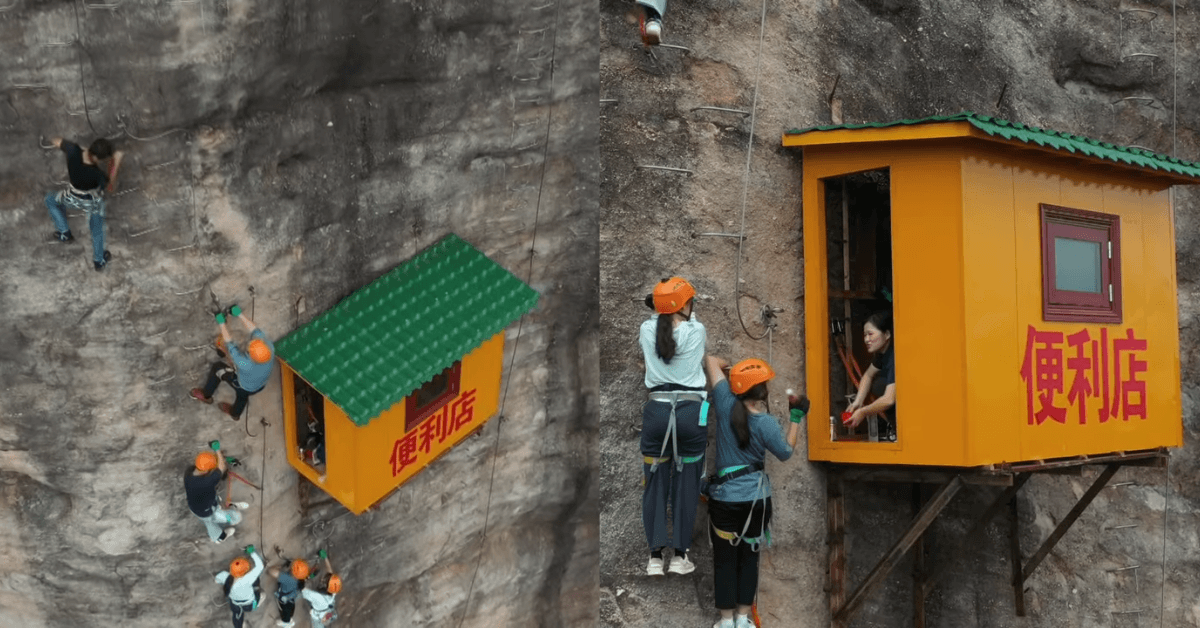 A description of the image