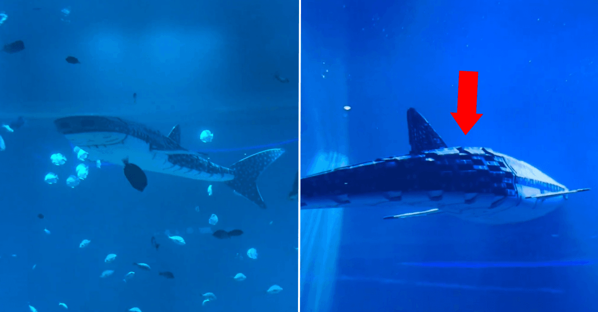 A description of the image