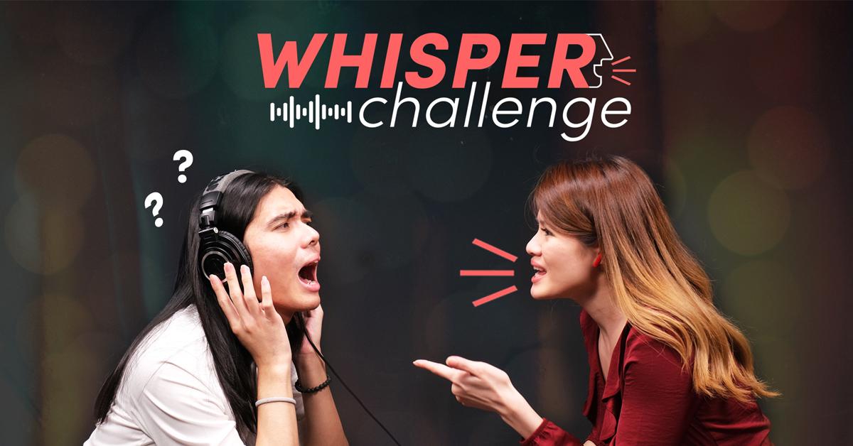 A description of the image