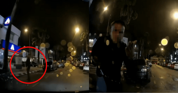 A description of the image