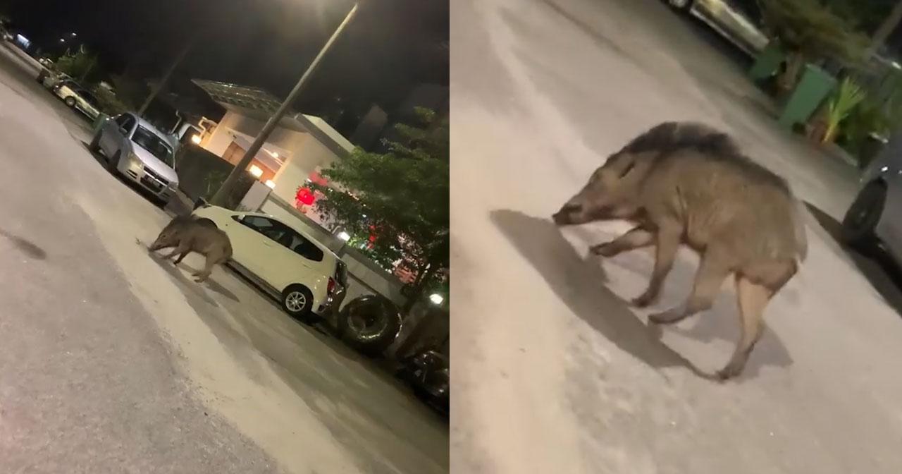 A description of the image