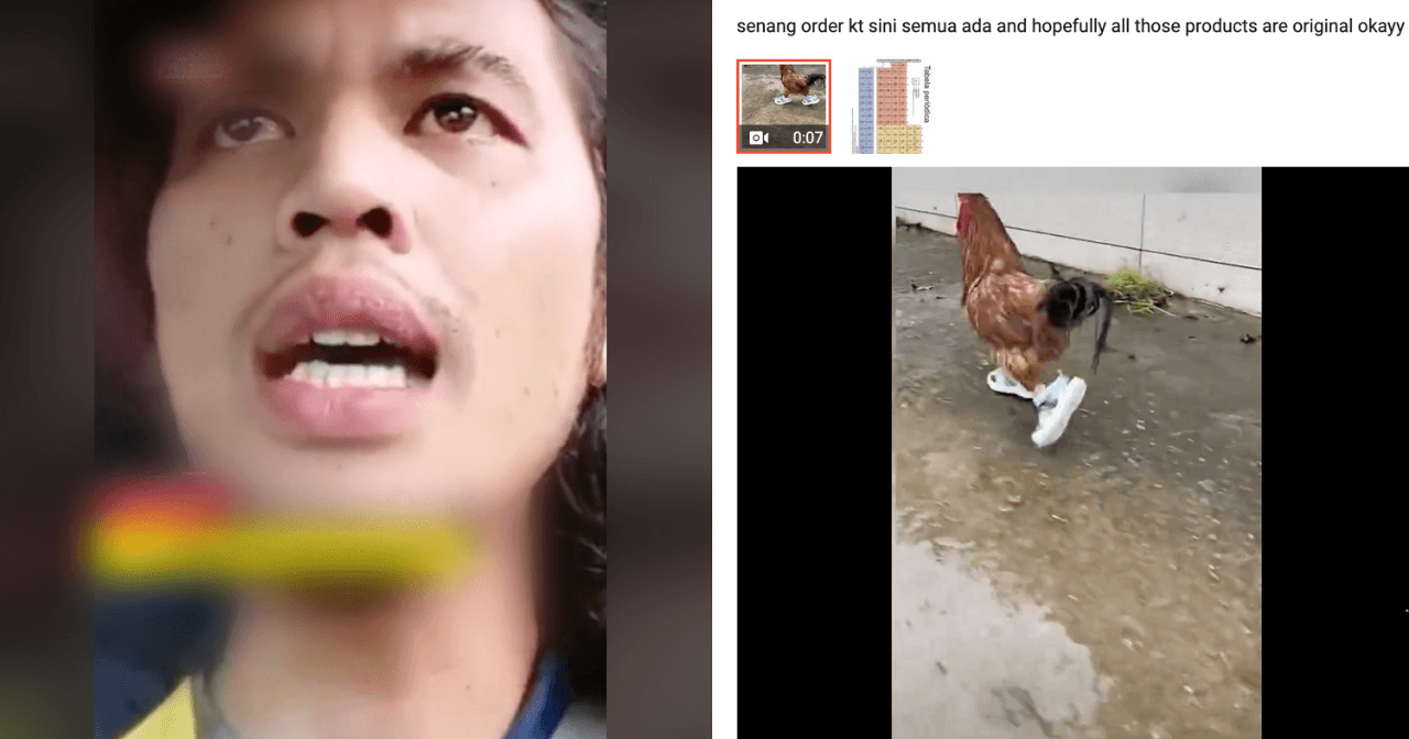 A description of the image