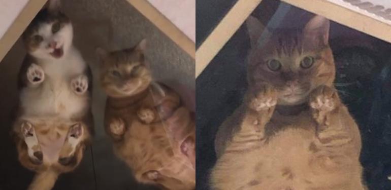 A description of the image