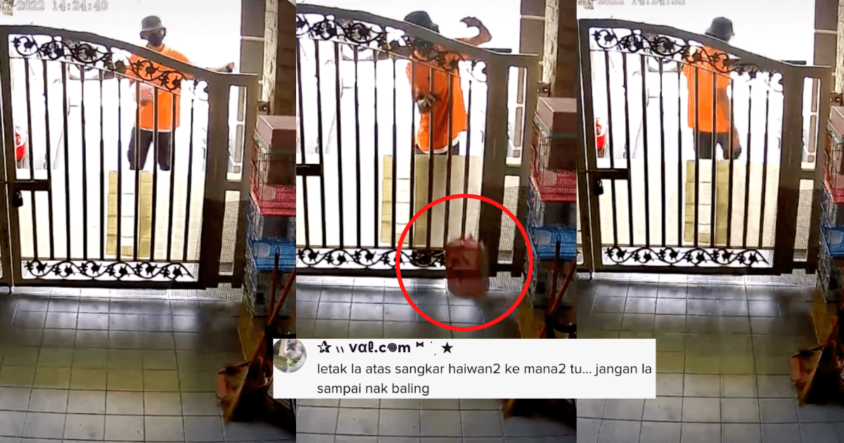 A description of the image